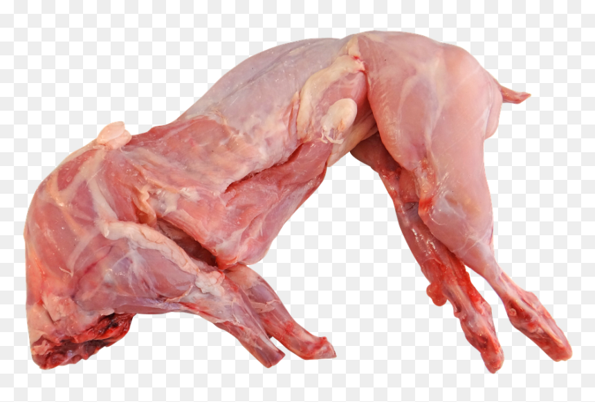 Rabbit, Whole, Raw, Cooking, Food, Meat, Fresh - Rabbit Meat, HD Png Download - cooked meat png