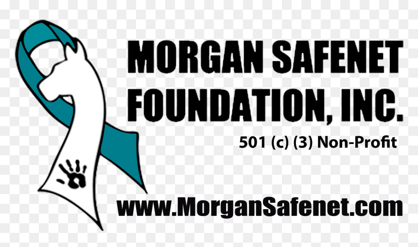 Morgan Safenet Foundation Inc - Confident, HD Png Download - confident png