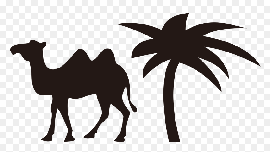Bactrian Camel Cartoon Sticker Sidewalk Chalk - Black Camel Cartoon, HD Png Download - chalk clipart png