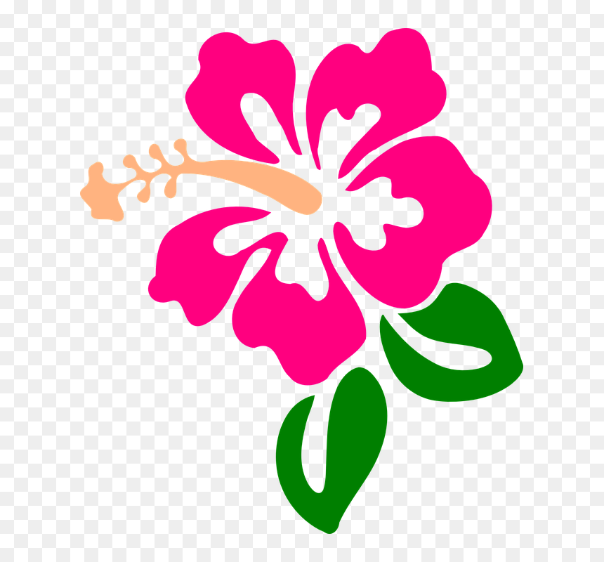 Hibiscus Clip Art, HD Png Download - png flowers vectors