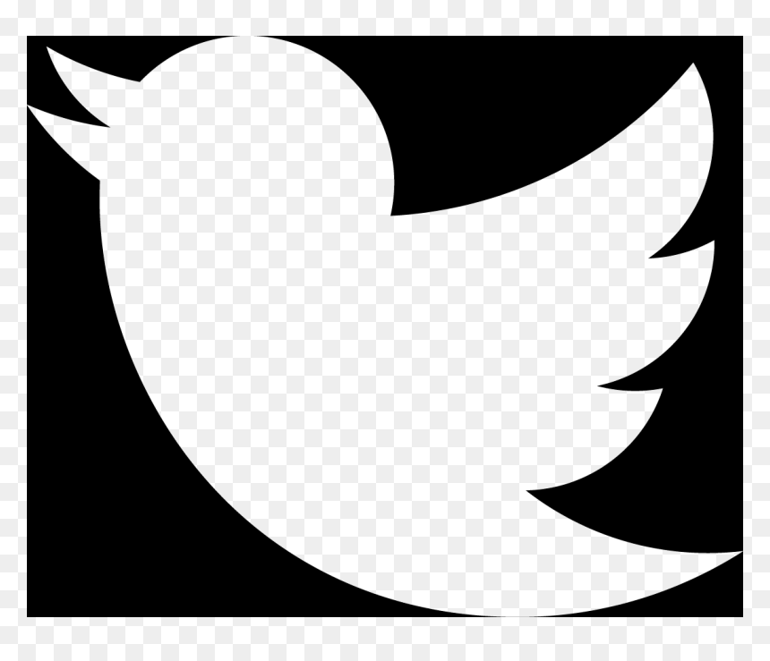 Twitter Bird White Transparent Background, HD Png Download - twitter.png