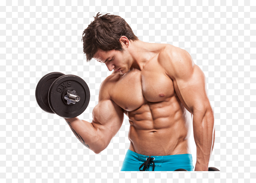 Do Muscles Grow, HD Png Download - fitness png