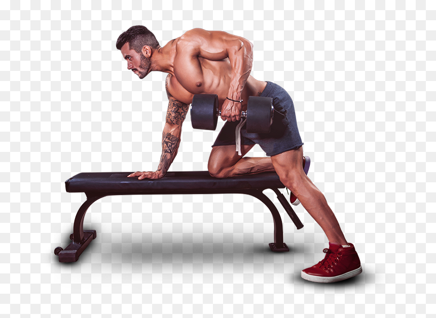 Bodybuilding, HD Png Download - fitness png