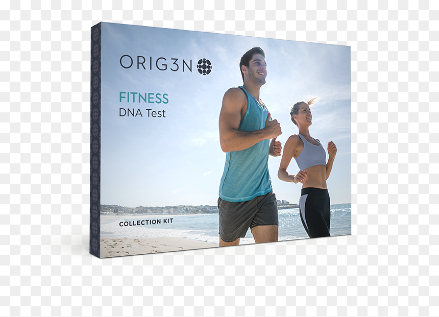 Running, HD Png Download - fitness png