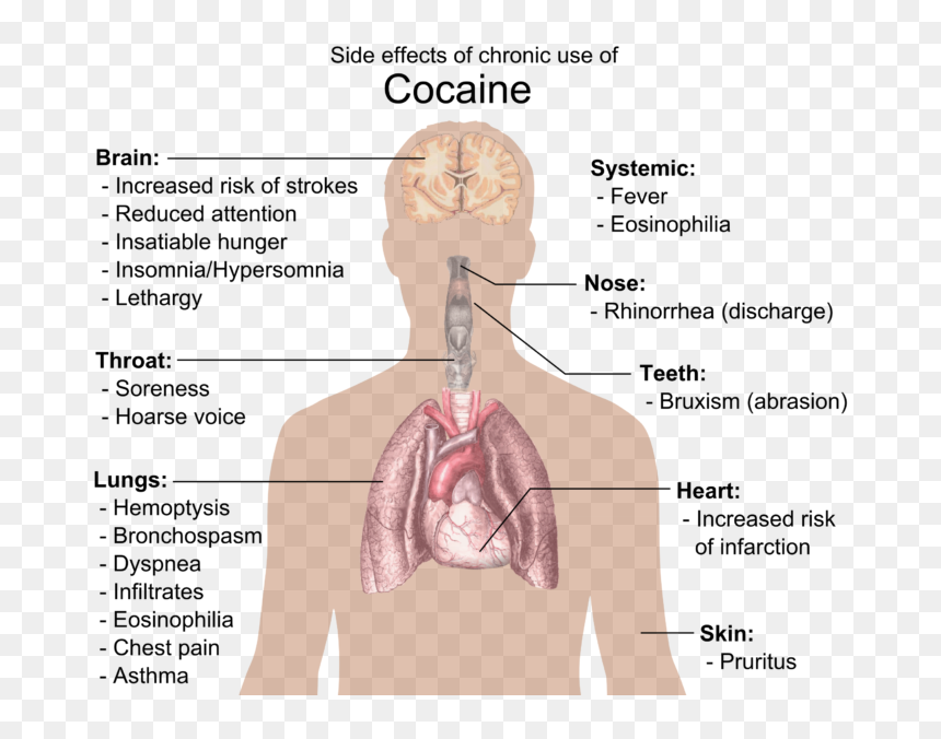 Effects Of Cocaine, HD Png Download - cocaine png
