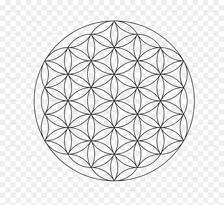 Flower Of Life Clip Art, HD Png Download - flower of life png