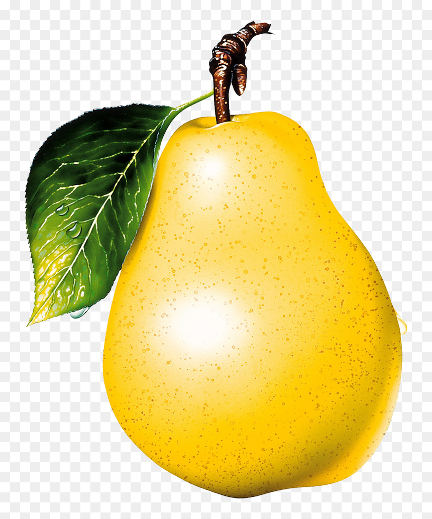 Png Pear, Transparent Png - pear png