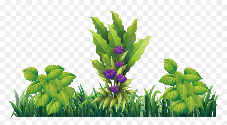 Hidden Ginger, HD Png Download - purple flowers png