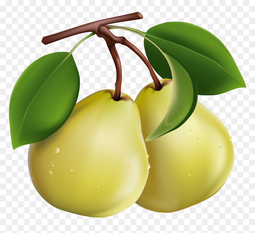 Pears Clipart Png, Transparent Png - pear png