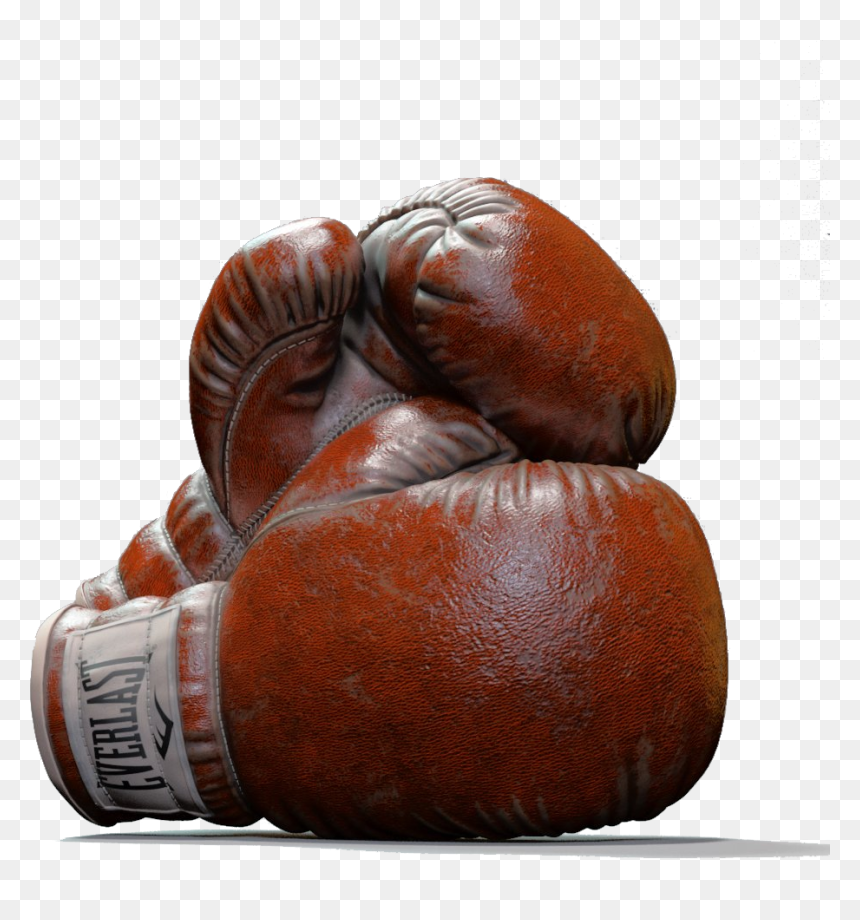 Everlast, HD Png Download - boxing gloves hanging png