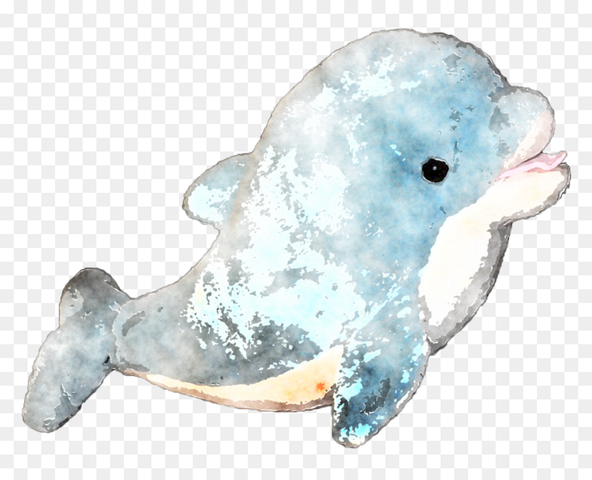 Clip Art Seal Watercolor - Dolphin Watercolor Png, Transparent Png - transparent watercolor png