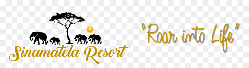 Sinamatela Resort - Calligraphy, HD Png Download - thorn bush png