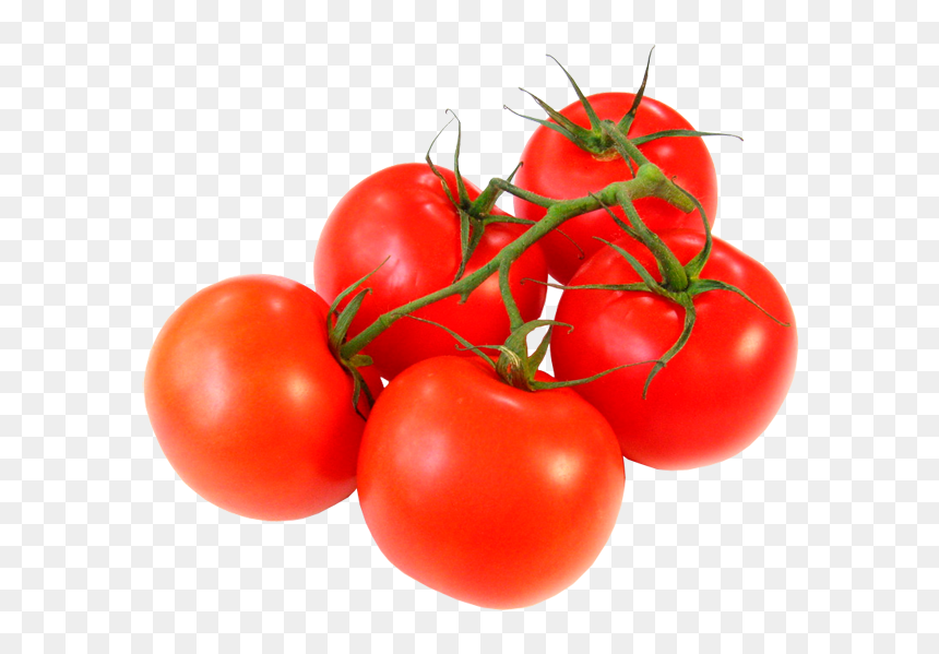 Transparent Verduras Png - Tomatoes On The Vine, Png Download - verduras png