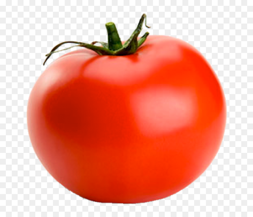 Intelligence Is Knowing A Tomato Is A Fruit D&d, HD Png Download - verduras png