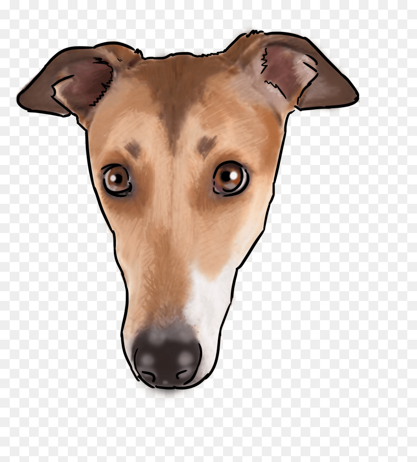 Magyar Agár, HD Png Download - greyhound png
