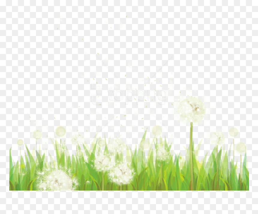 Dandelions Png, Transparent Png - dandelion seed png