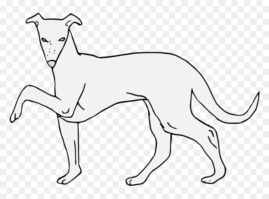 Rampur Greyhound, HD Png Download - greyhound png