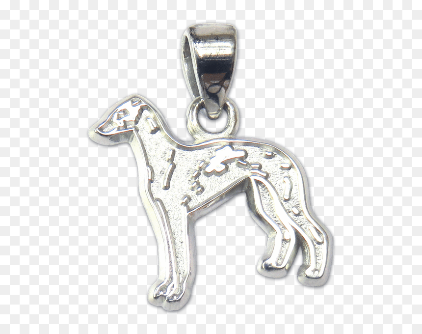 Italian Greyhound Pendant - Whippet, HD Png Download - greyhound png