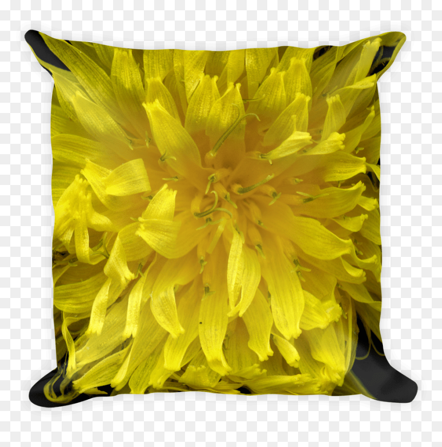 Sunflower, HD Png Download - dandelion seed png