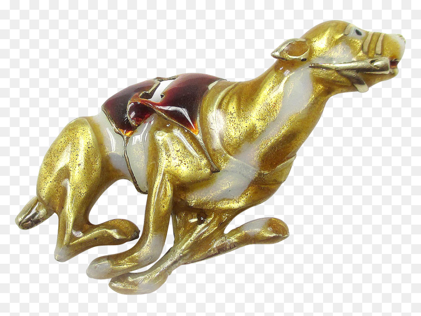 California Sea Lion, HD Png Download - greyhound png