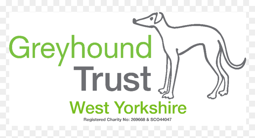 Retired Greyhound Trust, HD Png Download - greyhound png