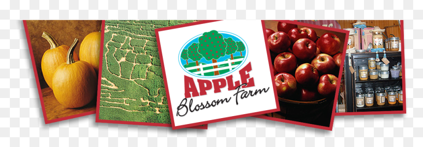 Mcintosh, HD Png Download - apple blossom png