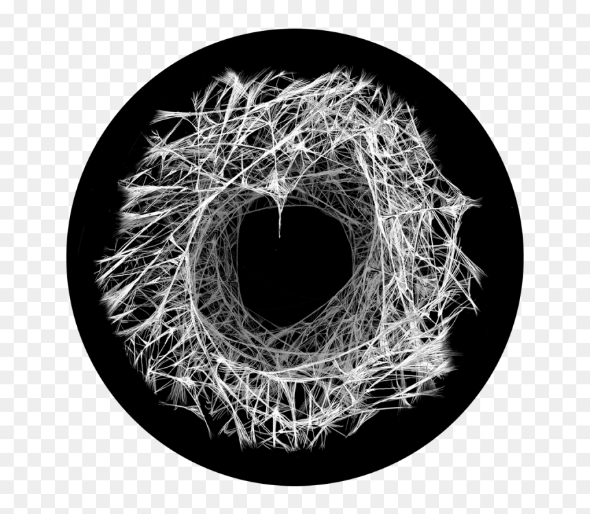 Cave Gobo, HD Png Download - white spider web png