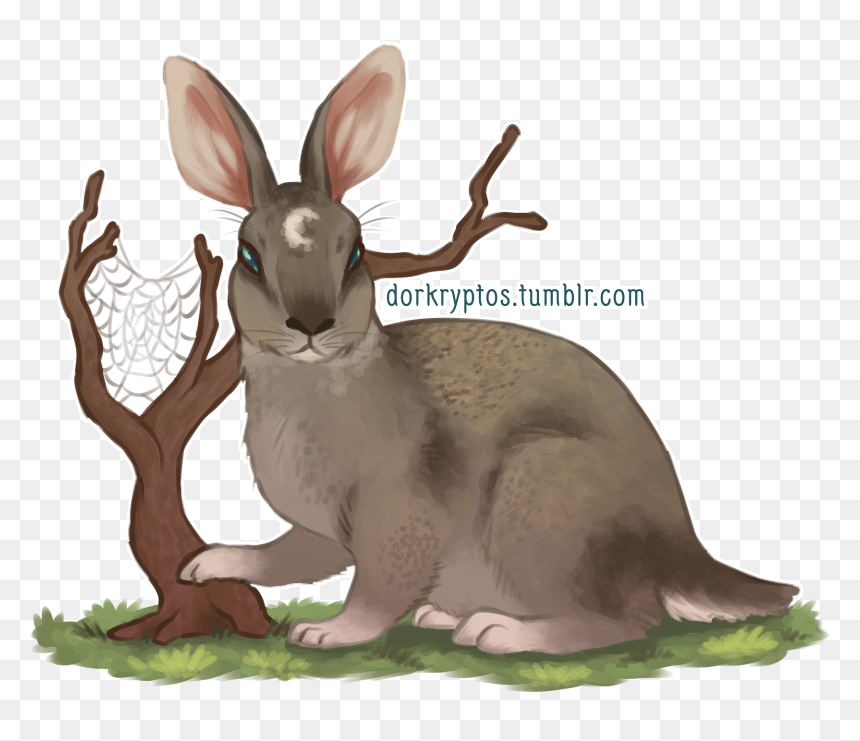 Guardians Of Ga’hoole Wiki - Kangaroo, HD Png Download - spiderwebs png