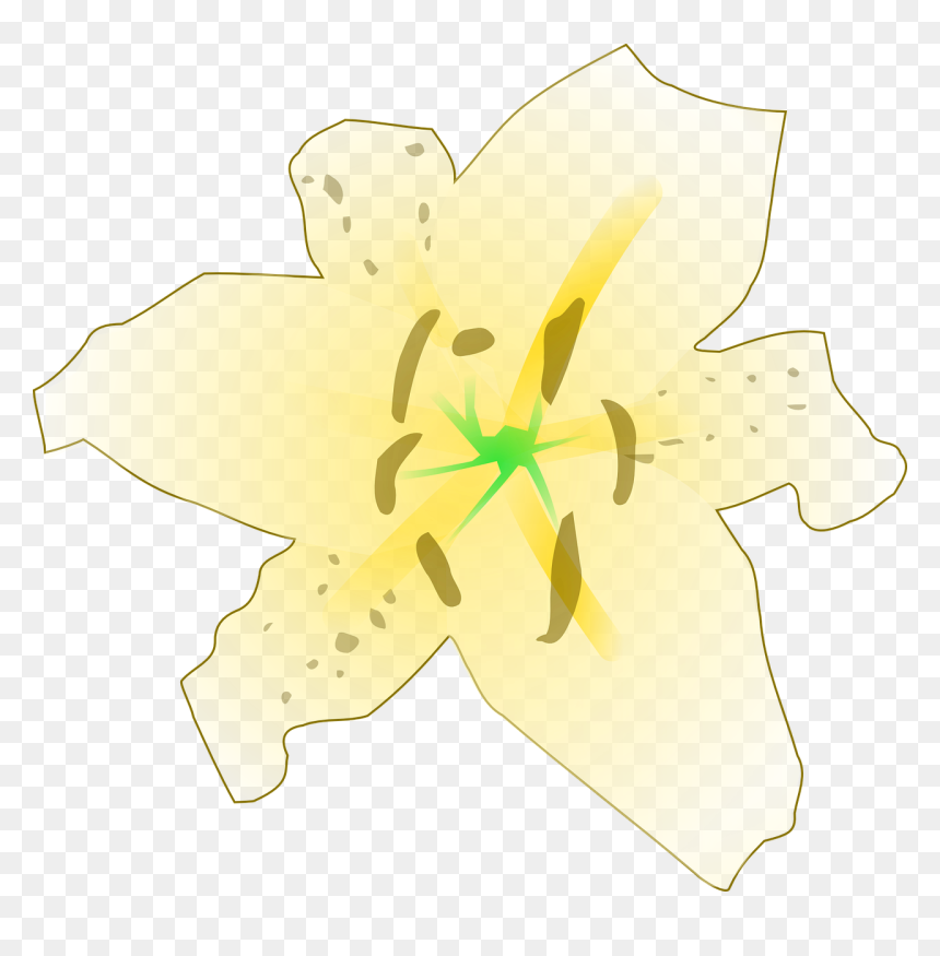 Lily Family, HD Png Download - gold floral png