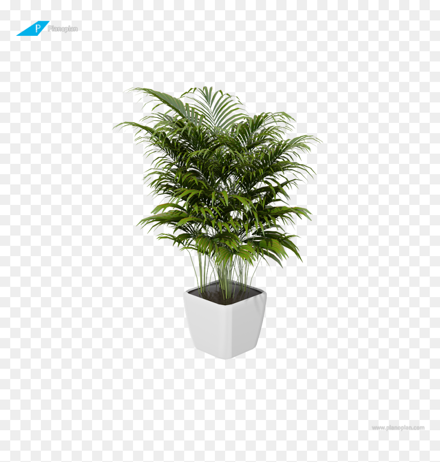 Houseplant, HD Png Download - desert shrub png