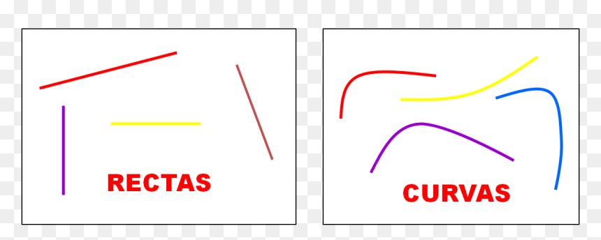 Pec , Png Download - Orange, Transparent Png - lineas rectas png