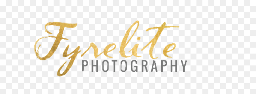 Photography, HD Png Download - desert shrub png