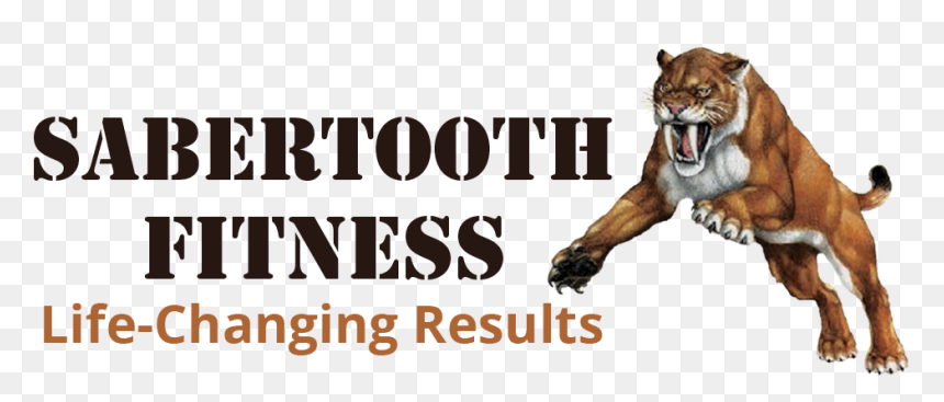 Fitness Boot Camp, HD Png Download - saber tooth tiger png