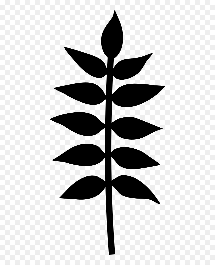 Plant Branch With Leaves - Leaves On Branch Stencil, HD Png Download - branch with leaves png