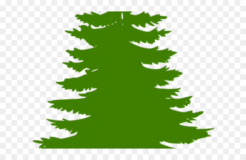 Evergreen Tree Silhouette, HD Png Download - cedar tree png