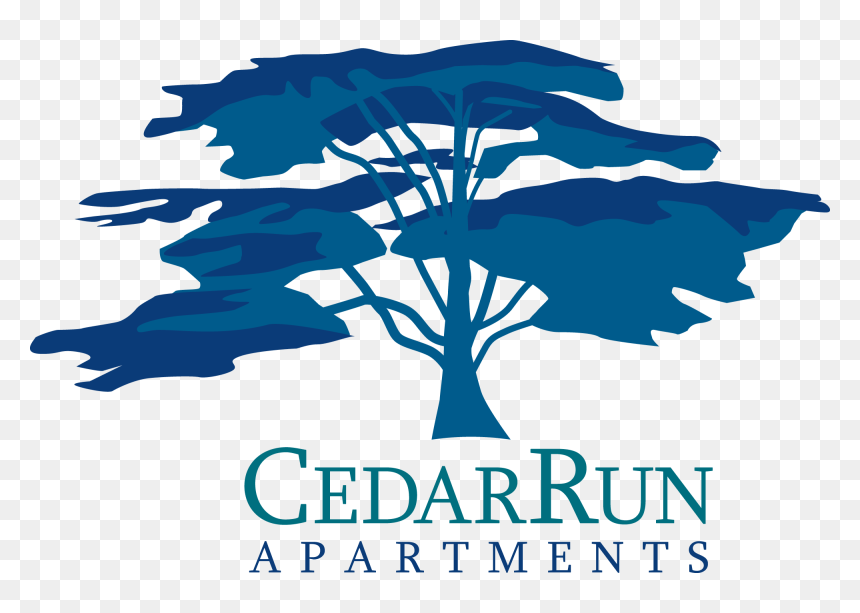 Tree, HD Png Download - cedar tree png