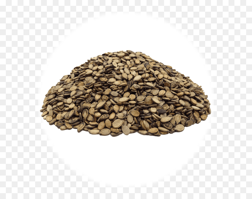 Sunflower Seed, HD Png Download - watermelon seed png