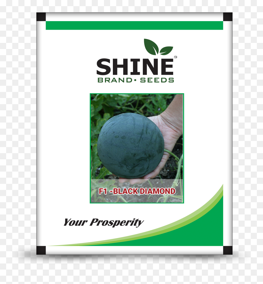 Shine Brand, HD Png Download - watermelon seed png