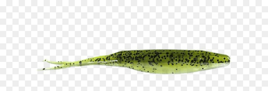 Picture 1 Of - Beloniformes, HD Png Download - watermelon seed png