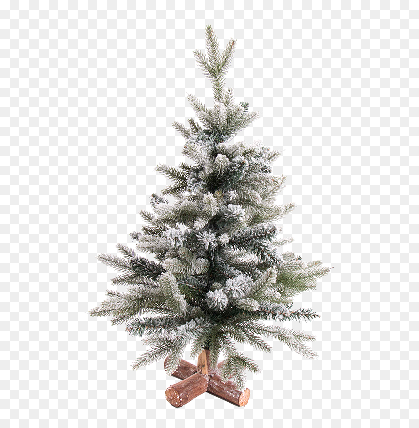 Christmas Tree Snowy, - Weihnachtsbaum Mit Schnee 60 Cm, HD Png Download - snowy trees png