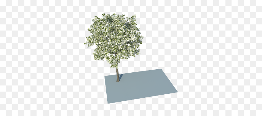 Plane, HD Png Download - group of trees png