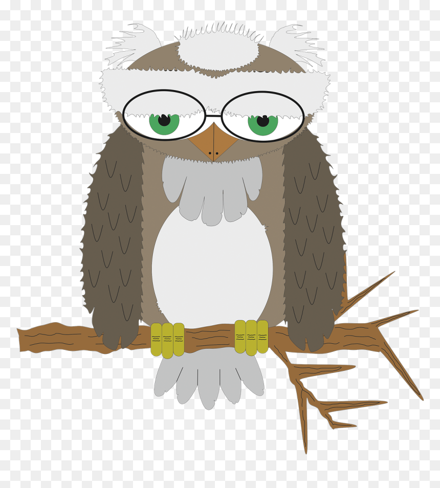 Owl Wisdom Bird Of Prey Free Photo - Cartoon, HD Png Download - owl vector png