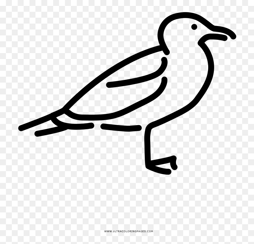 Transparent Gaviota Png - Illustration, Png Download - varita magica png