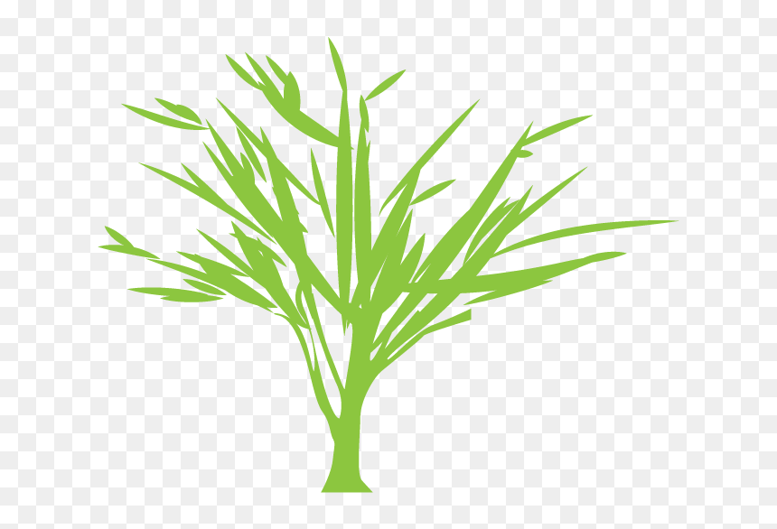 Tree Silhouette Euclidean Vector Green - Portable Network Graphics, HD Png Download - bamboo vector png