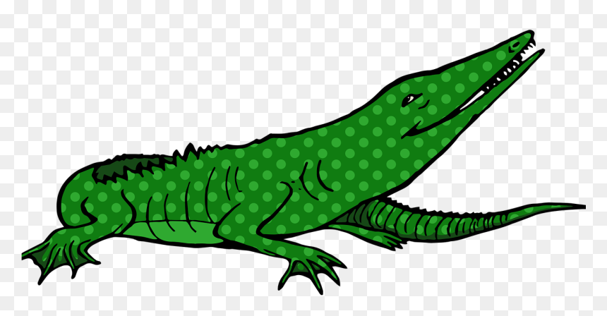 Crocodile, HD Png Download - cartoon alligator png
