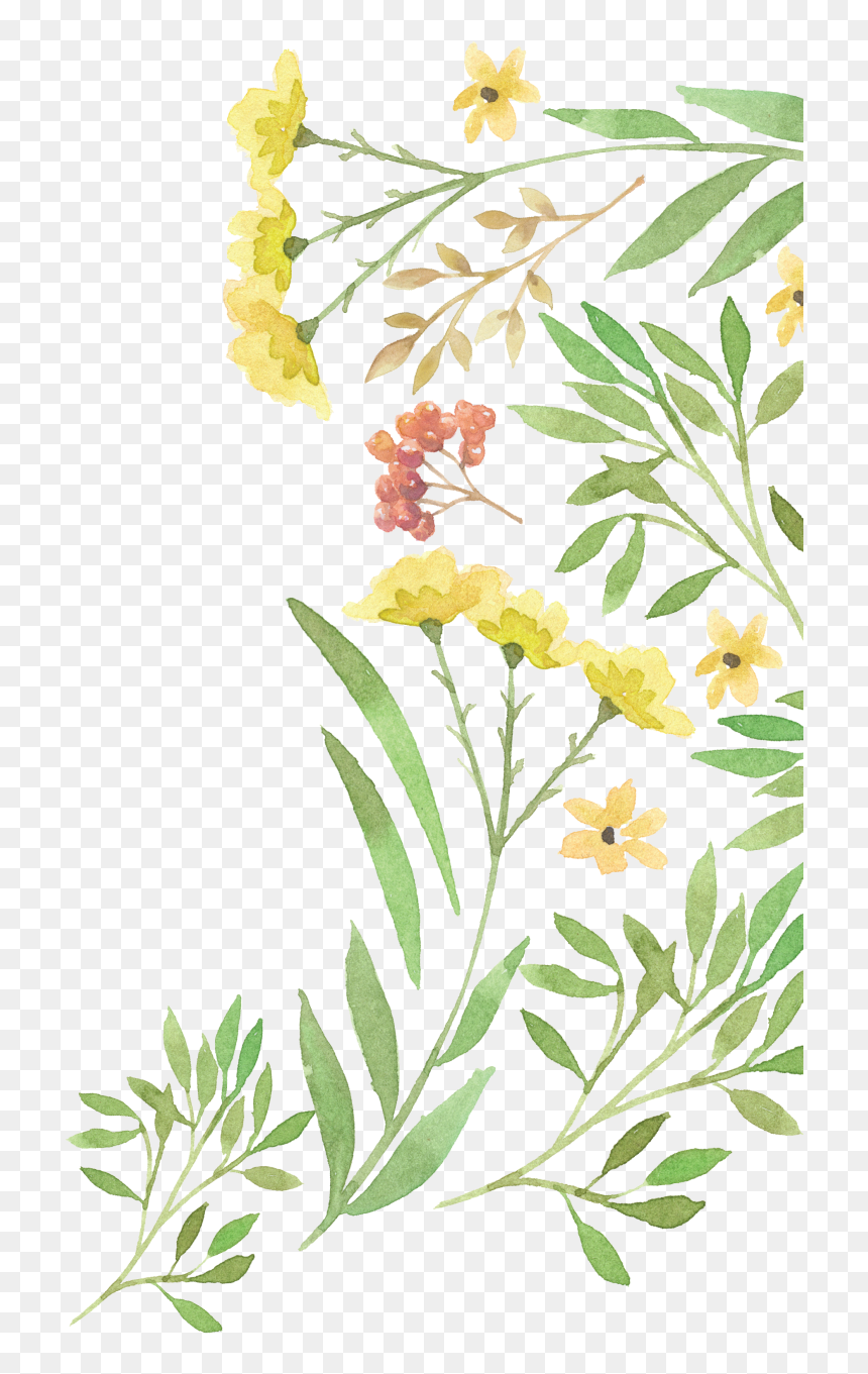 Wedding Invitation Flower Watercolor - Free Watercolor Plant Png, Transparent Png - watercolor plants png