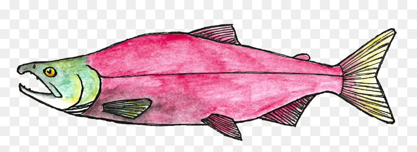 Pink Arrow Png -call To Action - Fisch Malvorlage, Transparent Png - sketch arrow png