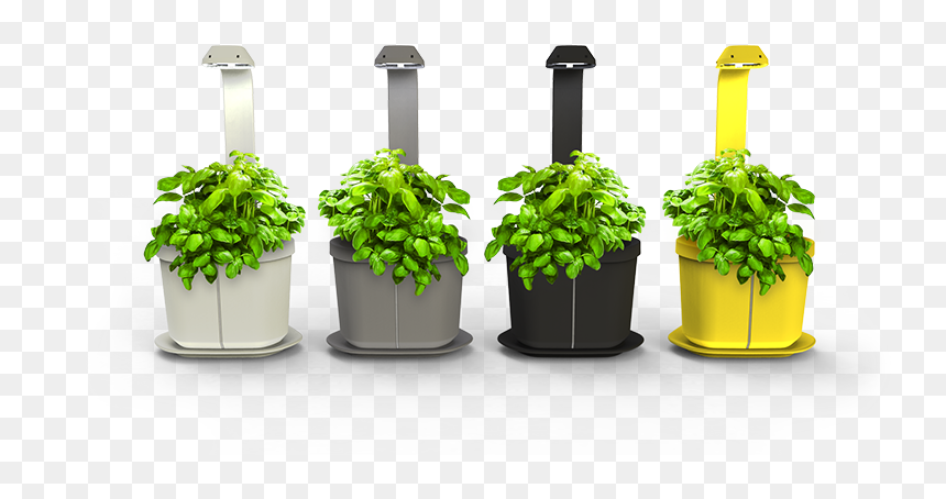 Kotimaiset Innovaatio Tuotteet, HD Png Download - genie bottle png