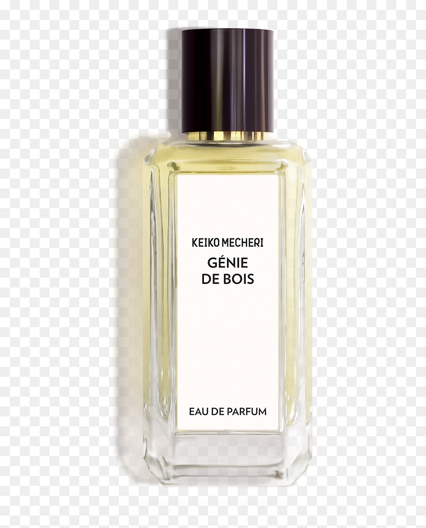 Keiko Mecheri Endless Summer, HD Png Download - genie bottle png