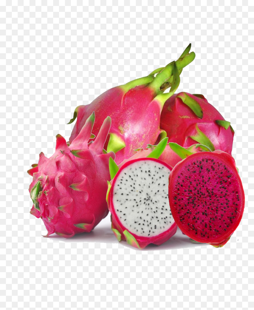 Dragon Fruit Png Image , Png Download - Dragon Fruit Transparent Background, Png Download - dragon fruit png